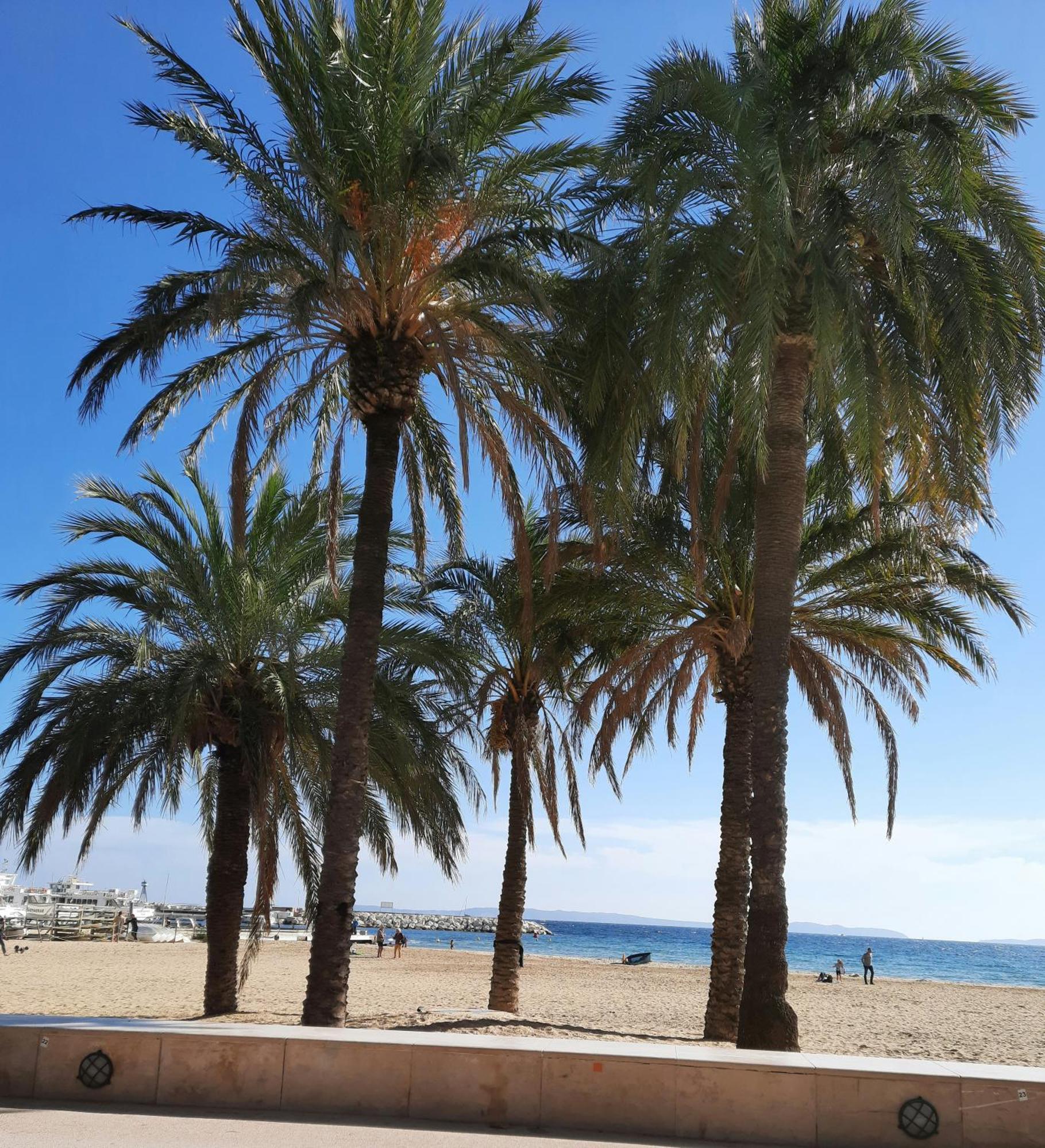 Apartment Climatise Lantanas 4 Personnes